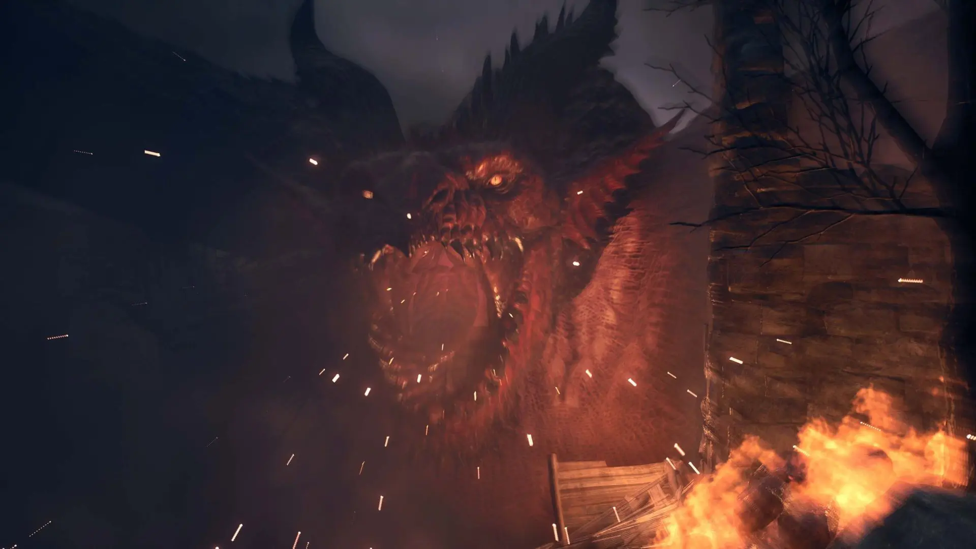 DD2_Dragon 01.jpg