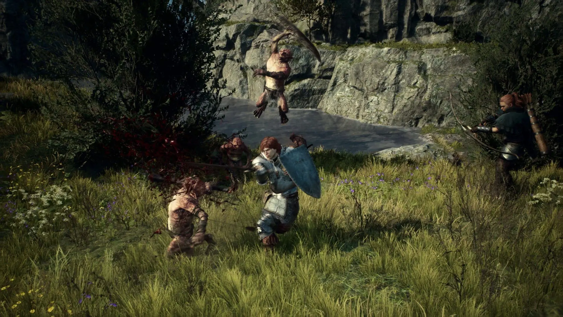 DD2_Combat 01.jpg