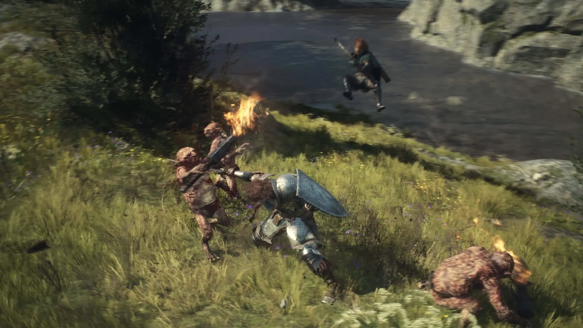 DD2_Combat 02.jpg