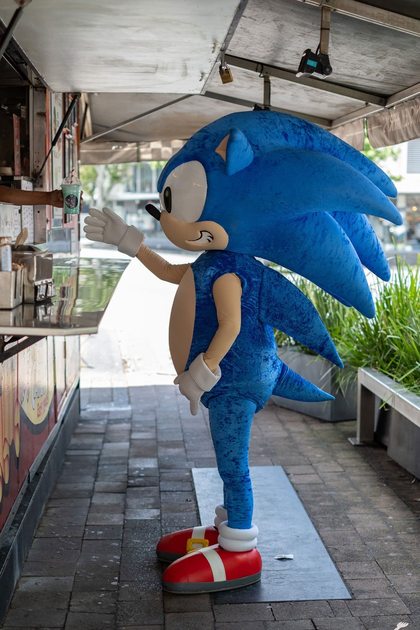 sonic-dog-1.jpg