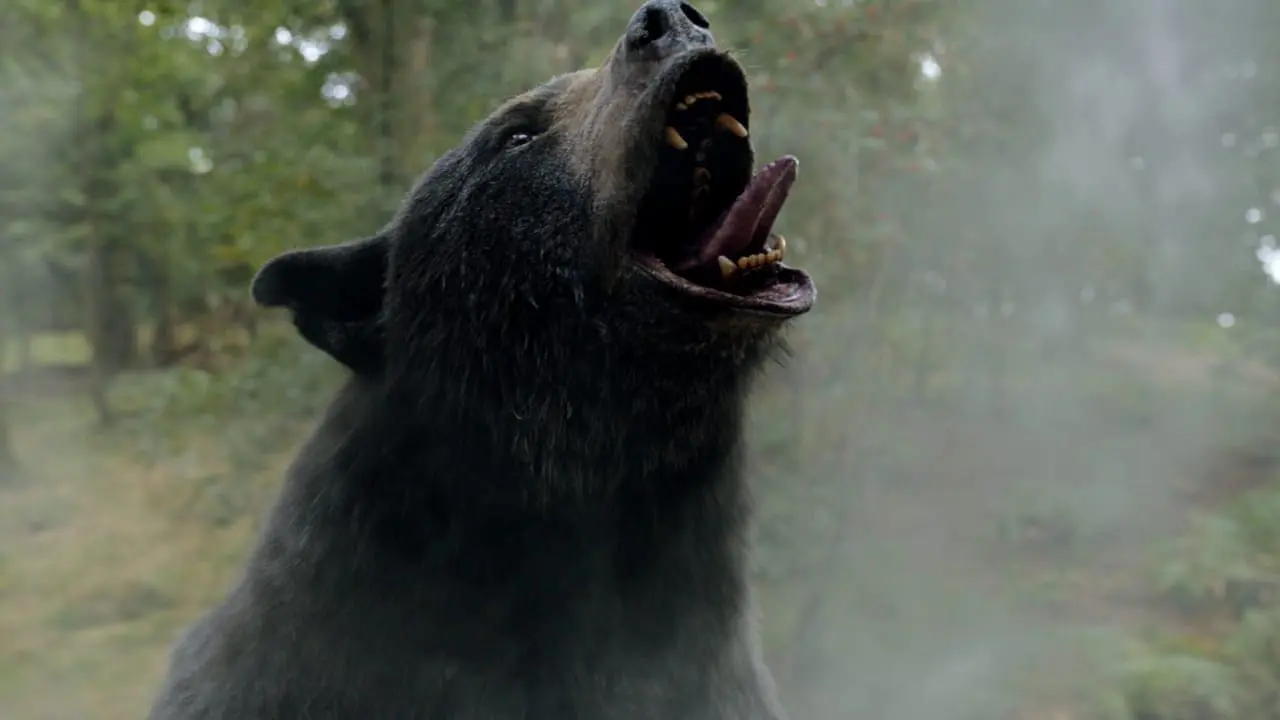 Cocaine Bear promotional still