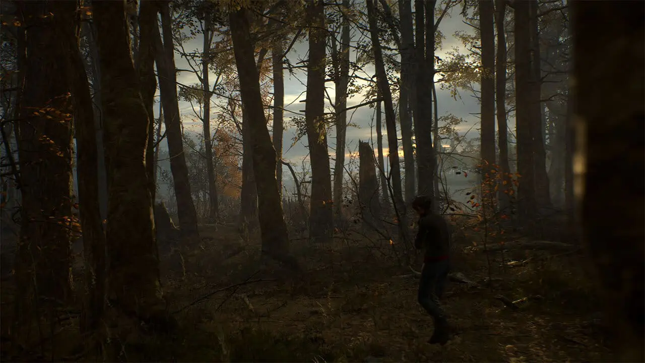 Preety forest, but be scared of what lurks in the trees - image captured by the author