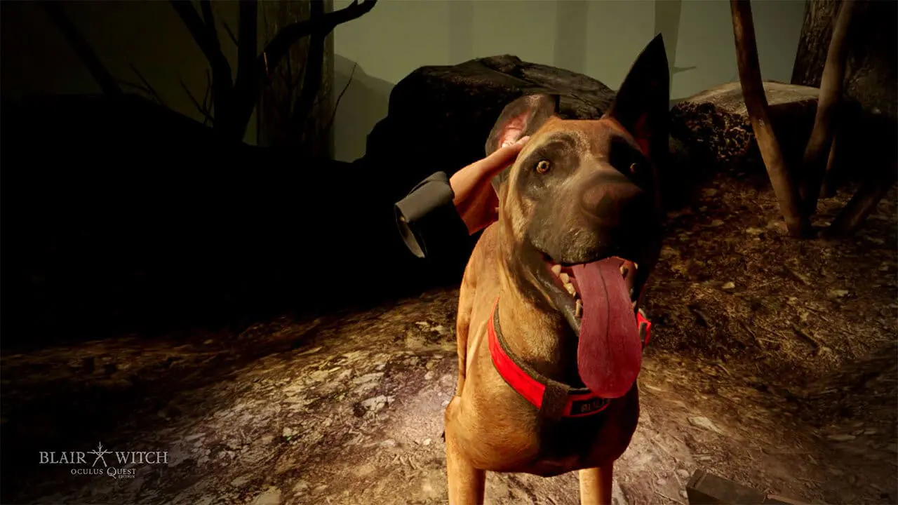 Good doggy - image provided by the publisher
