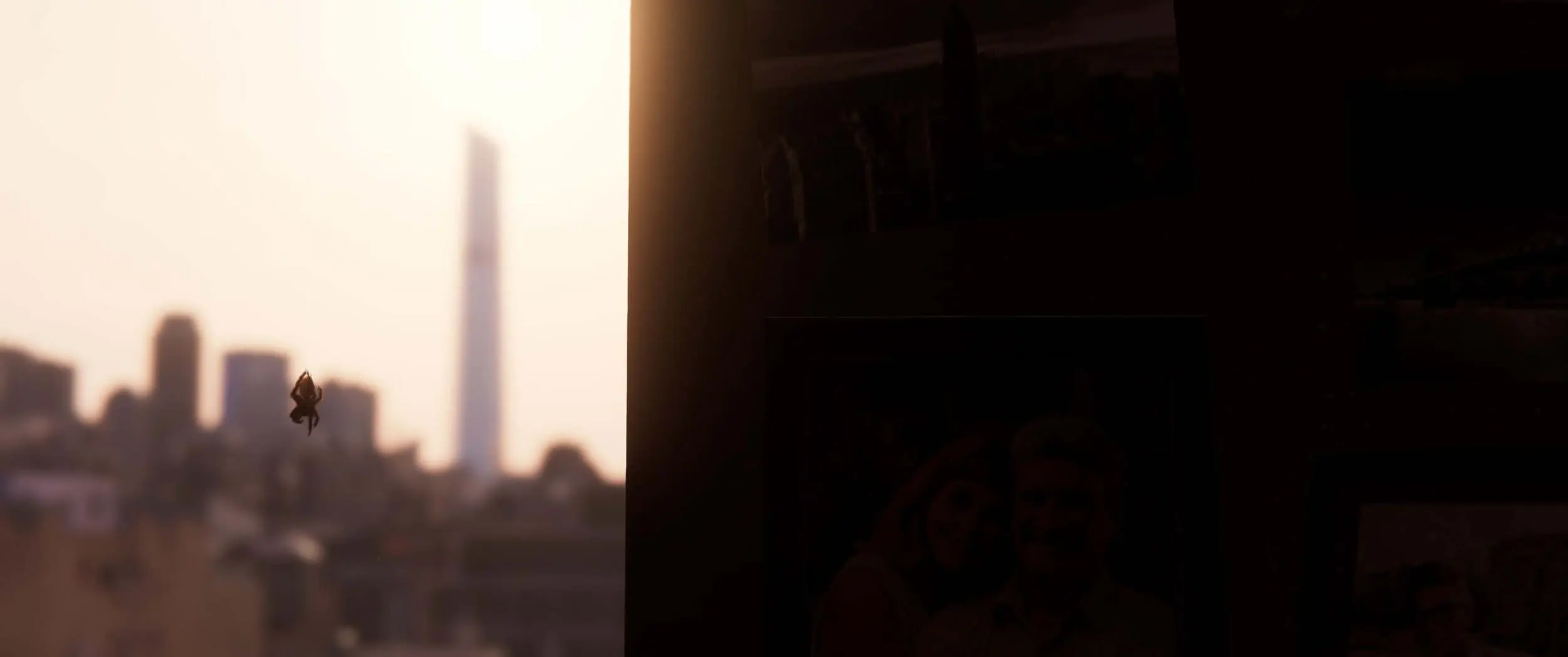 Opening Shots 01.jpg