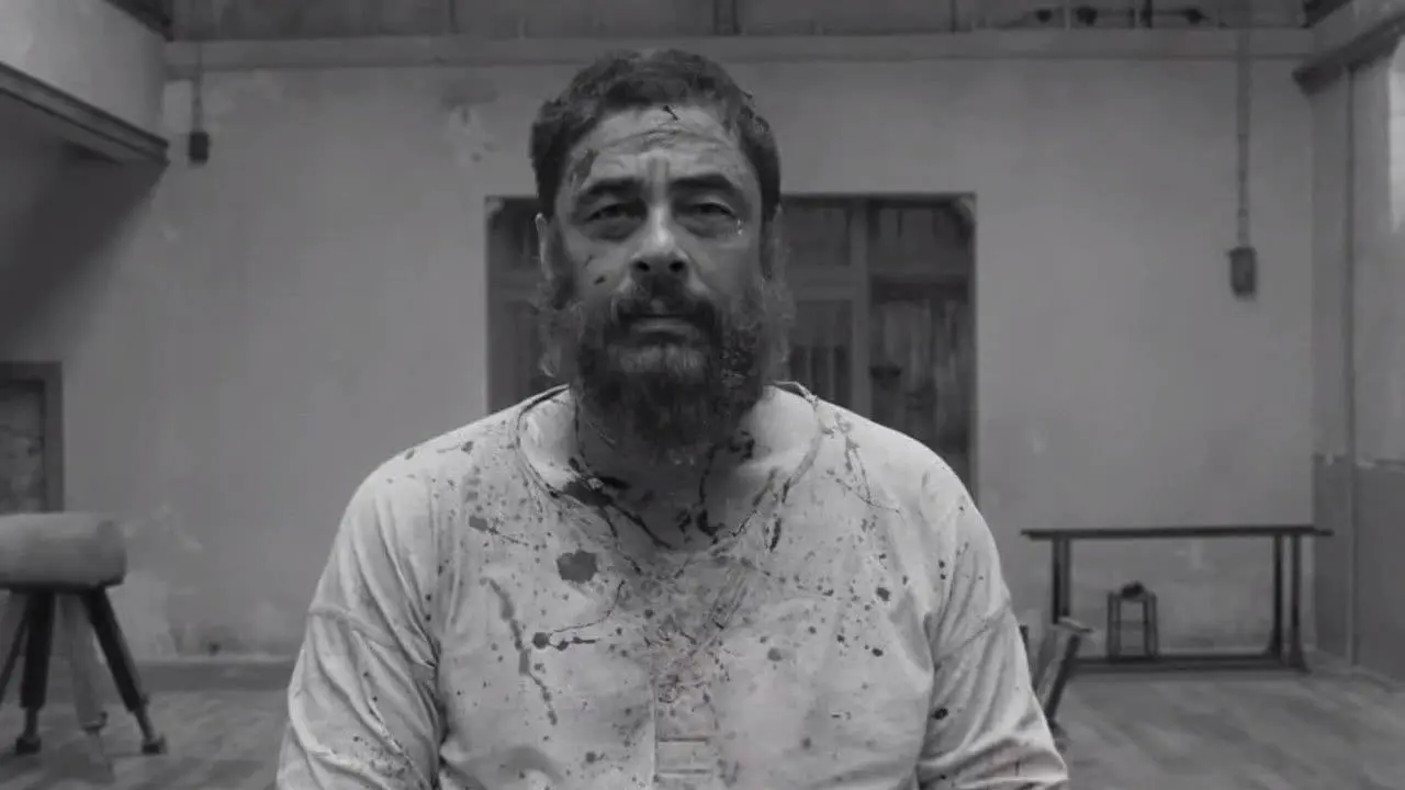 Benicio del Toro in The French Dispatch