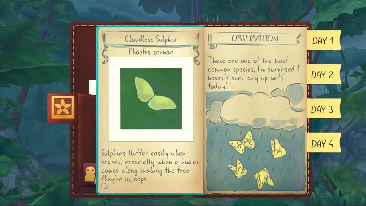 In-game view of the rainforest path while photographing butterflies