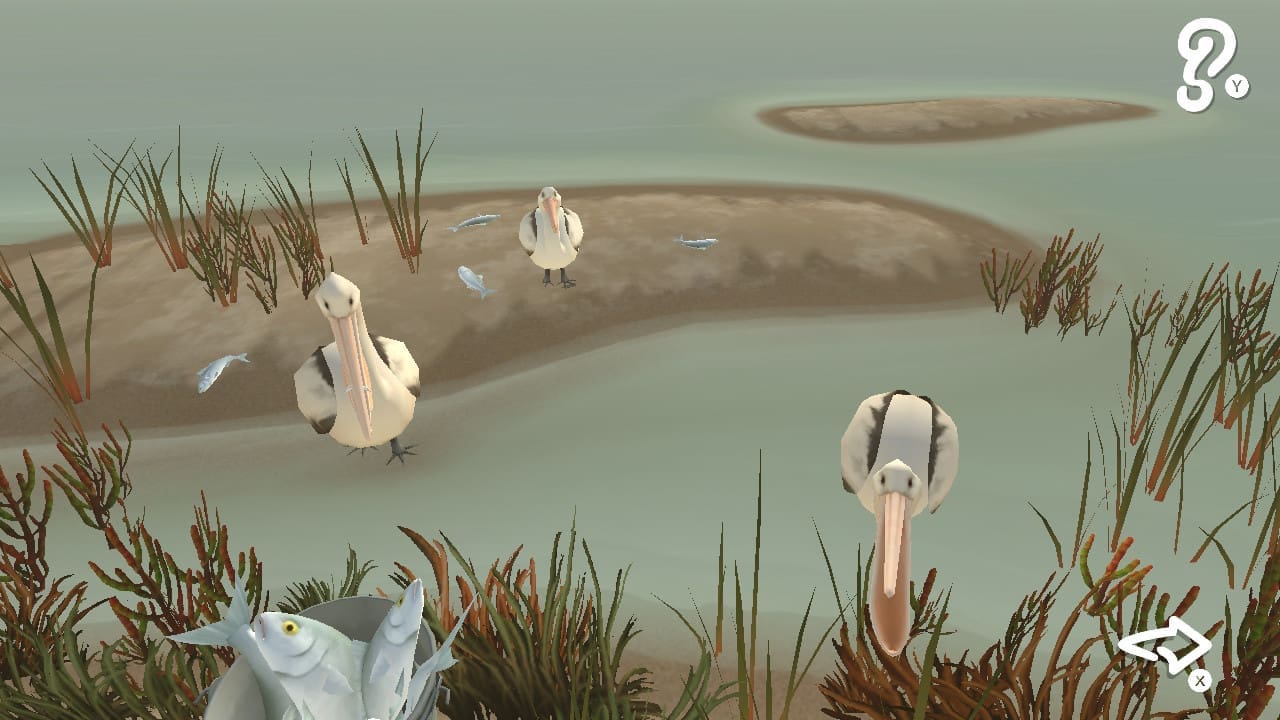 Storm Boy Gameplay 4