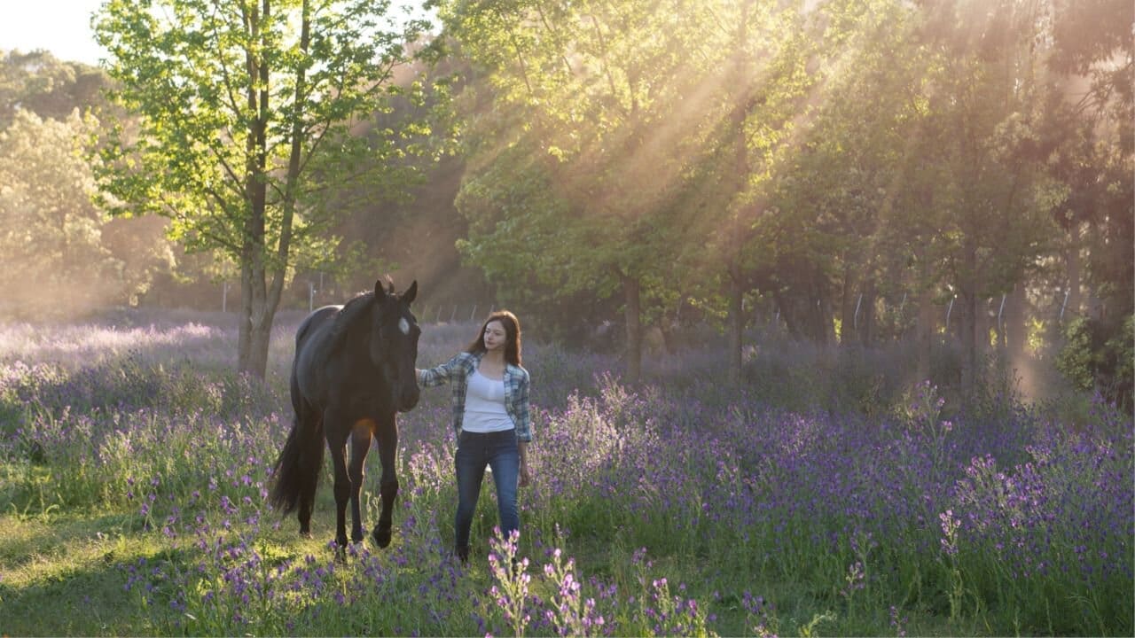 Black Beauty Disney+ review thumbnail