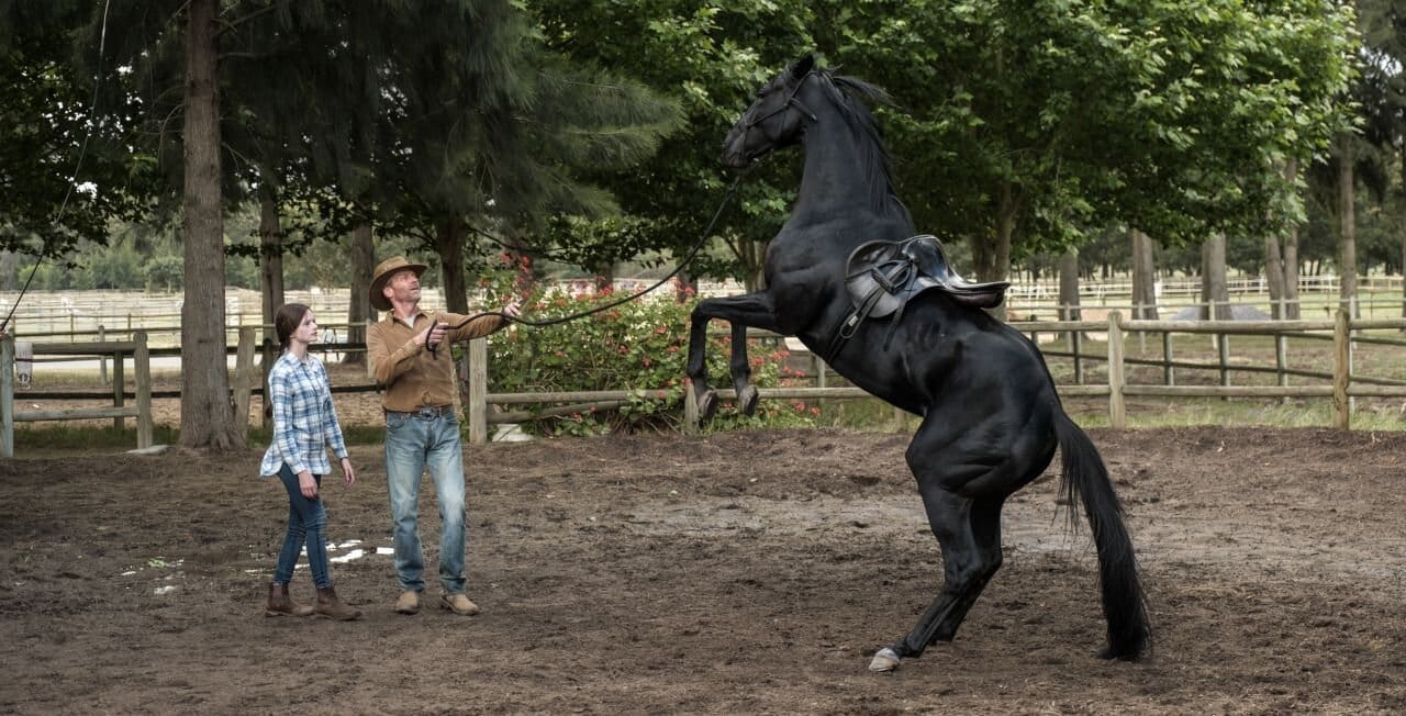 Black Beauty and Jo at Birtwick Stables