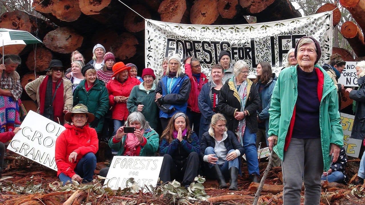 Cry of the Forests still