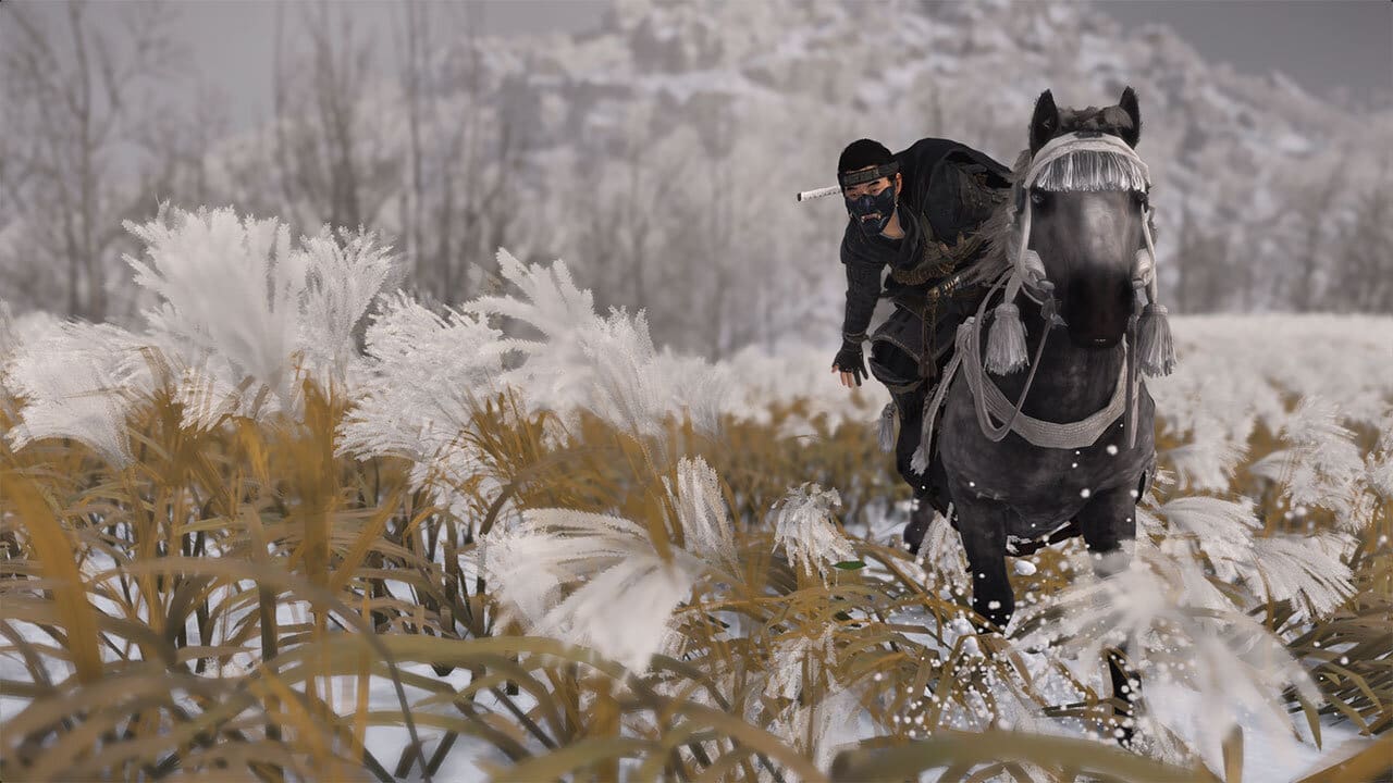 Ghost of Tsushima screenshot - image captured by author