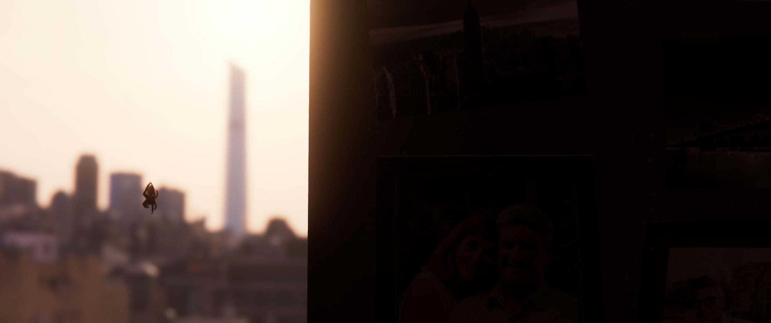 Opening Shots 01.jpg