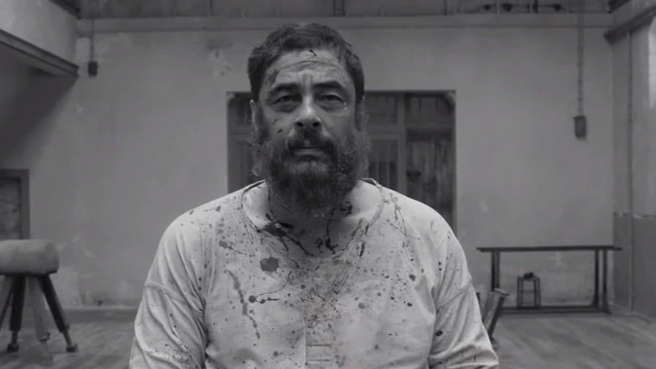 Benicio del Toro in The French Dispatch
