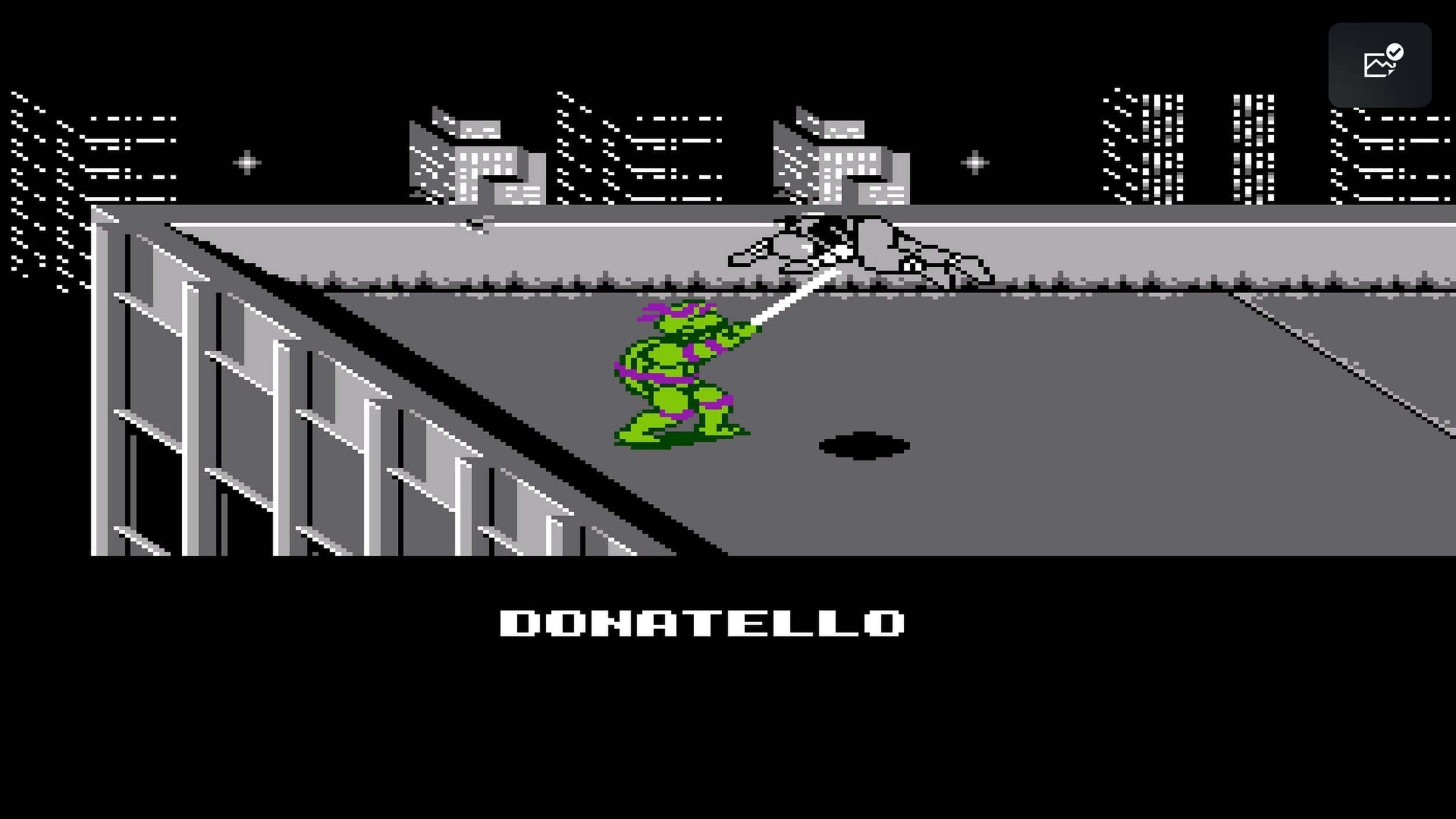 Teenage Mutant Ninja Turtles_ The Cowabunga Collection Donatello.jpg