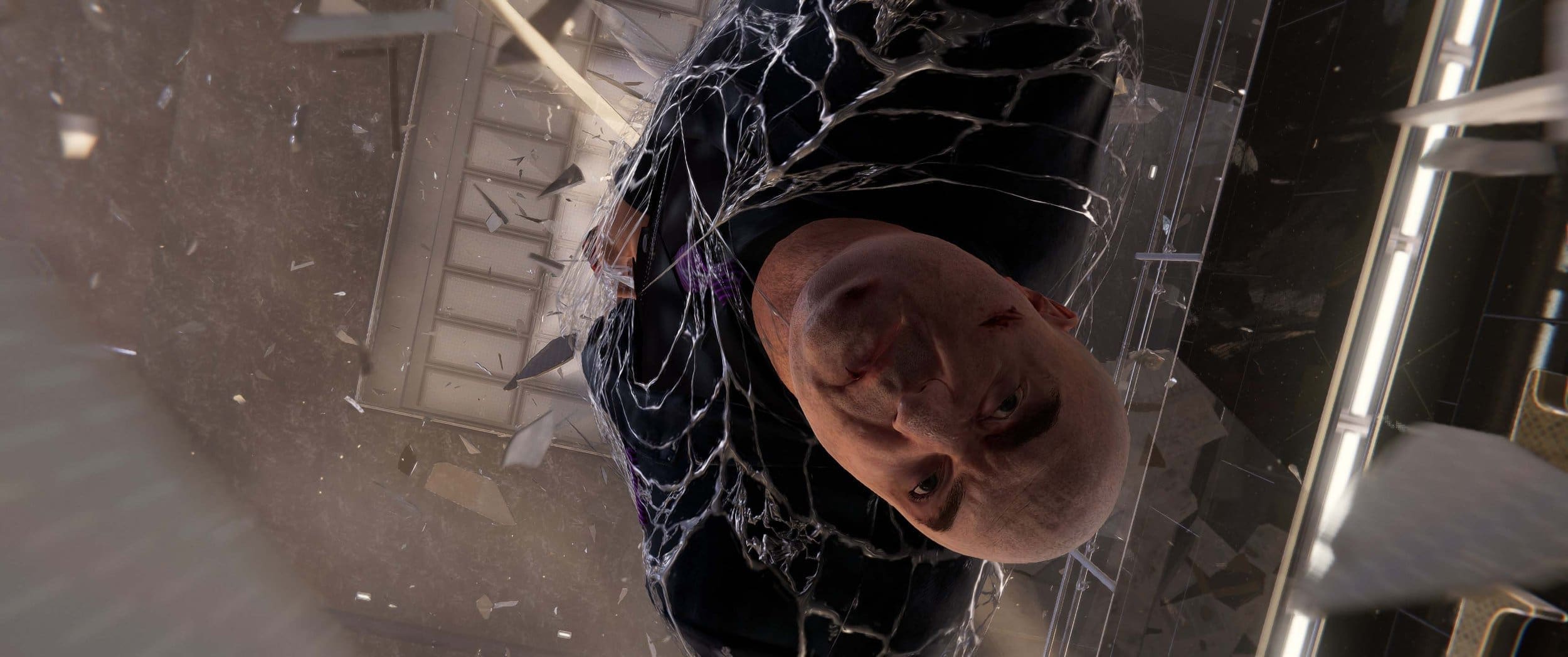 Webbing up bad guys just like flies.jpg