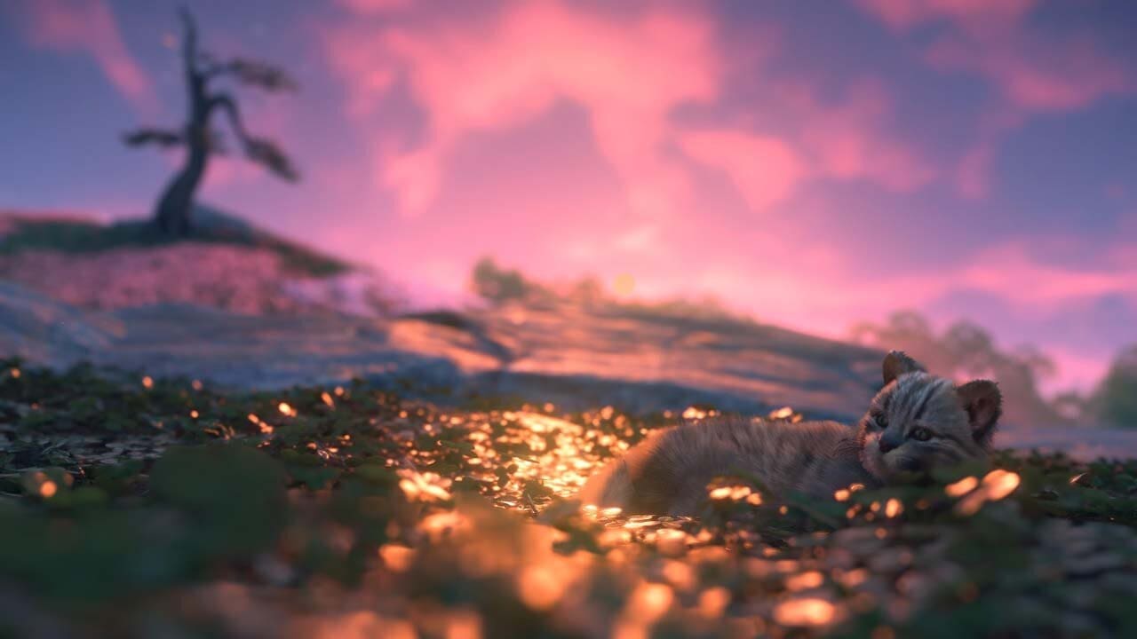  Check out this cutie. 