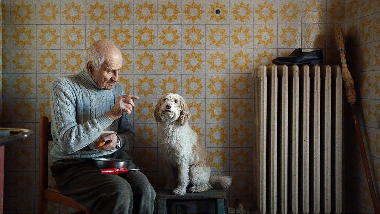 The Truffle Hunters documentary