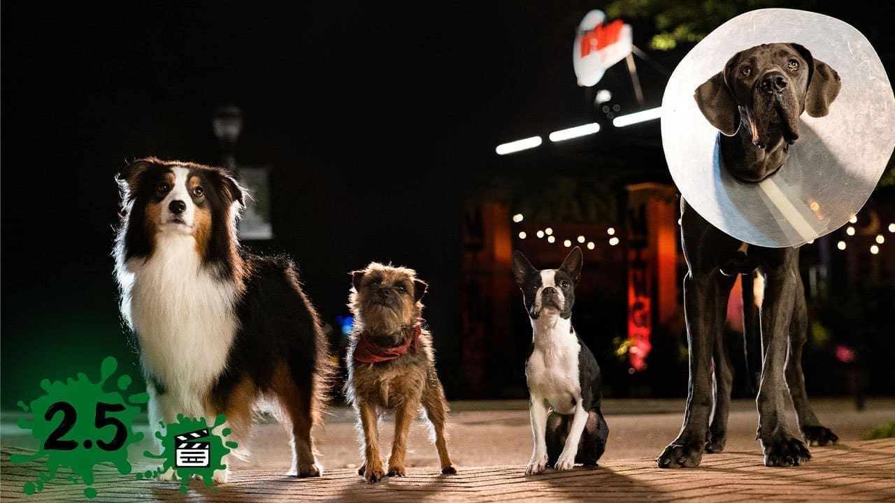 Strays (2023) Review - Stinks like dog poop