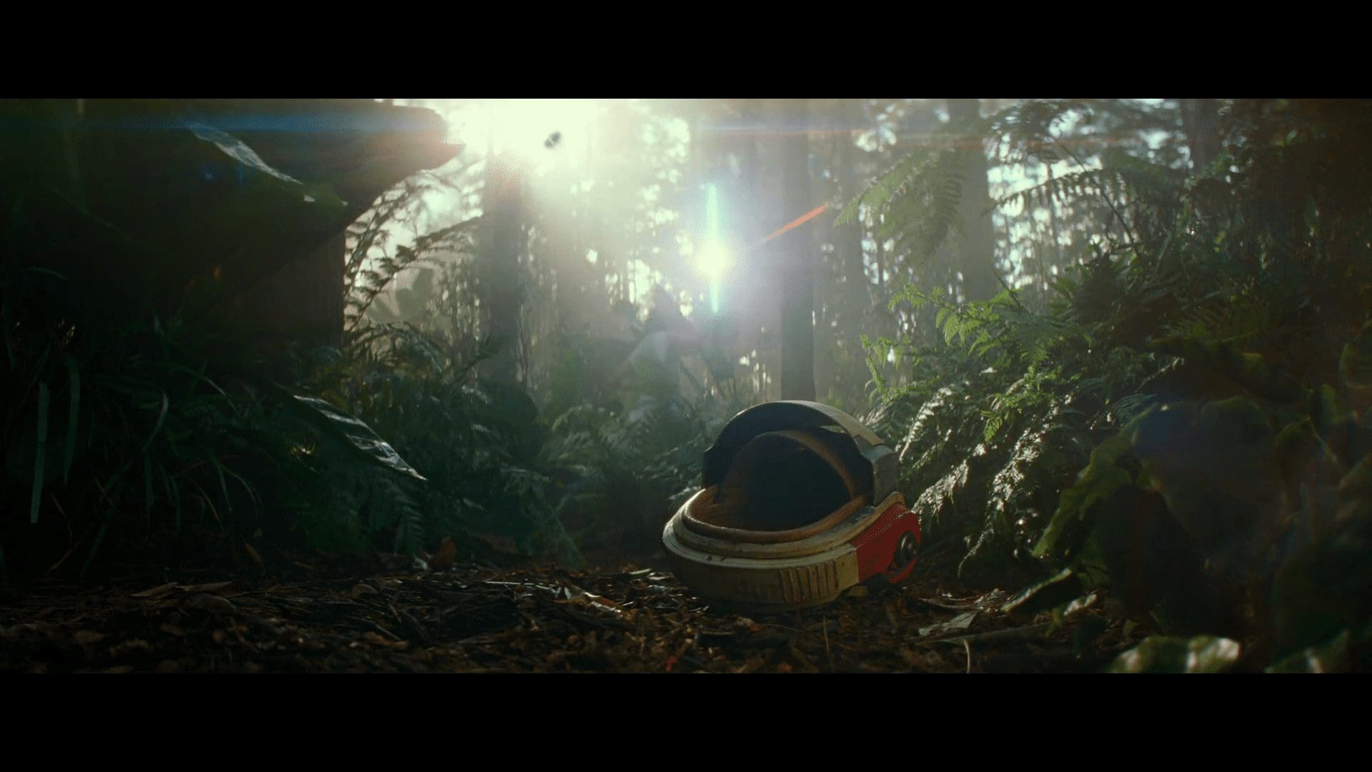 Rey leaping in a forest during training