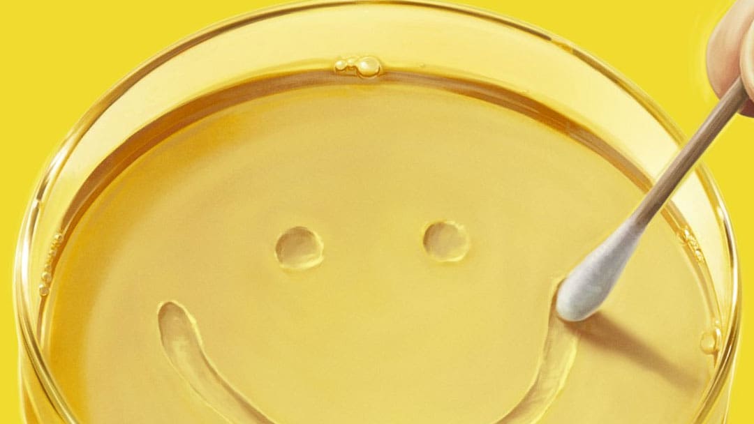 Breaking Bad Creators’ Next Series Pluribus Gets First Trailer & Premiere Date