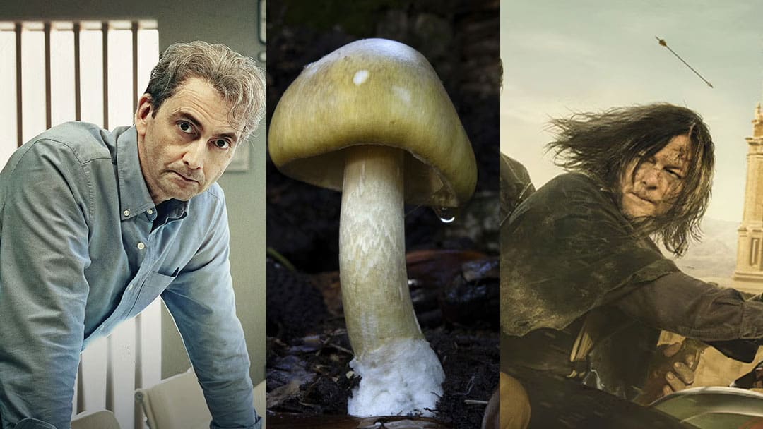 Everything coming to Stan in September 2025