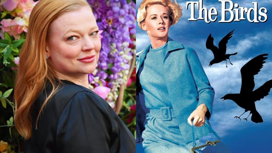 Alfred Hitchcock’s The Birds Is Getting A TV Series Starring Sarah Snook