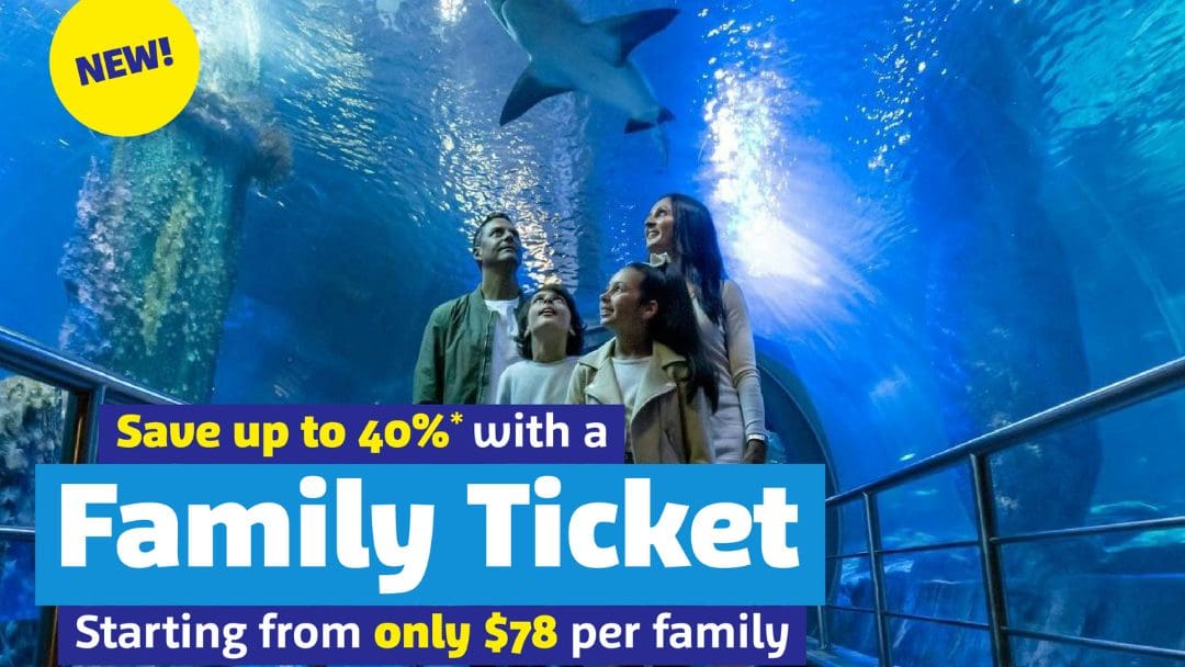Save Up To 40% With SEA LIFE Melbourne’s Extended Family Ticket Offer